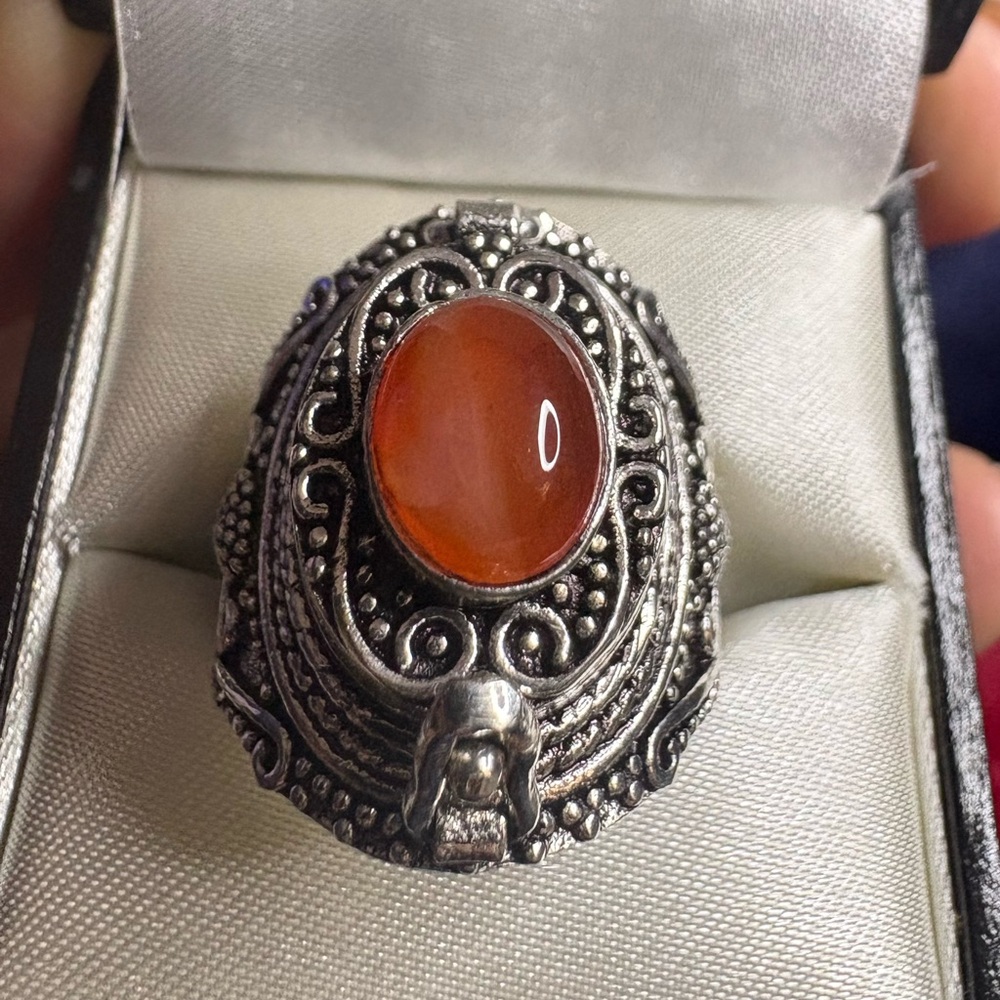 Poison Ring Silver Genuine Carnelian Healing Gemstone Adjustable